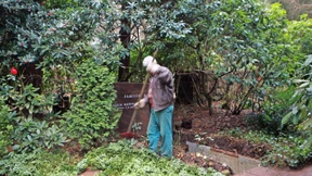 Wann hilft die Versicherung gegen Berufsunfähigkeit?