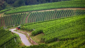 Deutschland oder Elsass?