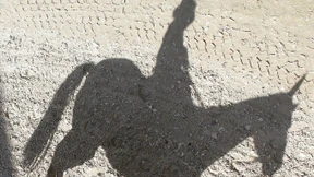 Sexualstraftäter beim Reitturnier