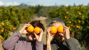 Wenn in Spanien die eigenen Orangen angebaut werden