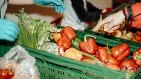 Frau, Akademikerin, geht zur Tafel