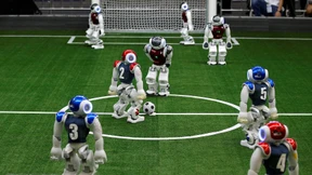 Mit der richtigen Software zum Torerfolg