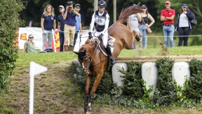 Erfolgsstory mit Pferdefuß