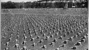 Seeler senior durfte kein Idol sein