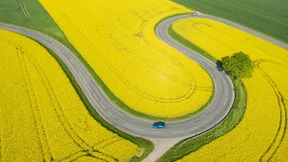 Der Biodiesel wird Opfer seines eigenen Erfolges