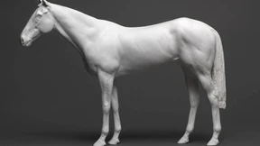 Gutes Essen hilft beim Kunstkauf  