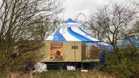 Auch wilde Tiere gehören in die Manege