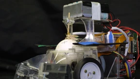 Seidenspinner am Lenkrad