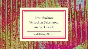 Das Experiment mit der Nadelperson