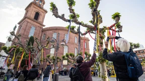 Die Demokratie muss supranational funktionieren