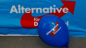 Prüffall für die Politik