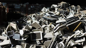 Studenten-Weltmeister im Genlabor