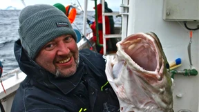 Dicke Dinger unterm Kiel