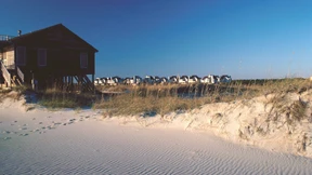 Was wurde aus den ersten Siedlern?