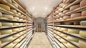 Cranberry-Käse und andere Delikatessen