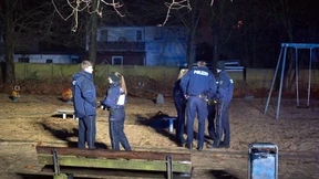 Same procedure as every year