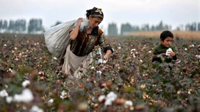 „100 Prozent Baumwolle“ - Qualitätssiegel oder Boykottgrund?