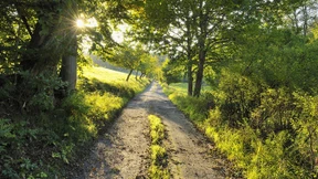 Spessart als Geheimtipp