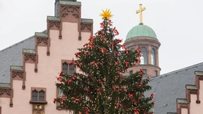 „Die Weihnachtsbaum-Kritiker haben keine Ahnung“