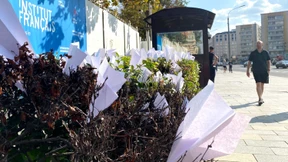 Wenn der Kreml und seine Gegner mal einig sind