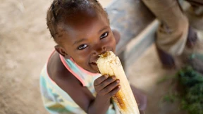 Hilft teure Pflanzenzucht gegen Hunger?