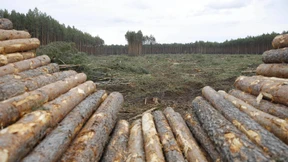 Bangen um den Standort 