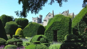 Die Kunst des Schneidens