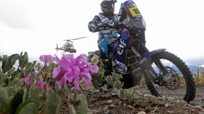 Alle profitieren vom Geist der Wüste