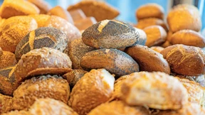 Grillen und Käfer kommen nicht ins Brot