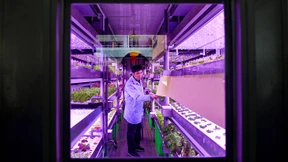 Soft Power aus dem Reich der Mitte