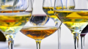 Mädelsabend oder Grillen auf der Terrasse?