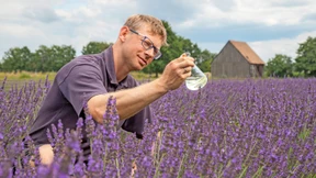 In der Oberlausitz herrscht Dürre