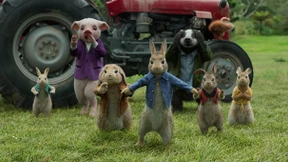 Peter Hase besiegt die Kampfpiloten