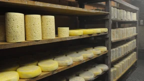 Regionale Produkte verlieren ihren Schutz