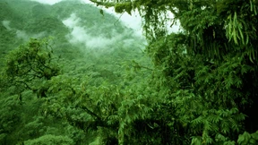 50 Leitzinserhöhungen seit Januar