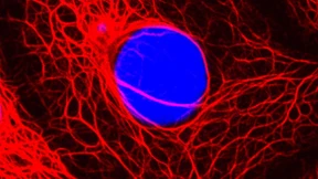 Mediziner widersprechen Krebs-Aussage von Spahn