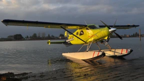 Ein Biber schreibt Kurzgeschichte