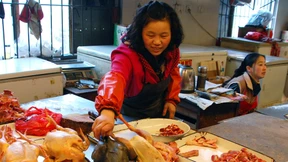 Doch eine Übertragung von Mensch zu Mensch? 