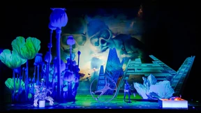 Liebe deine Nächste