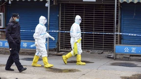 Welche Rolle spielte der Handel mit Wildtieren in China?