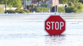 Deiche an Elbe und Saale weichen auf