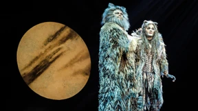 Miau, mio, sie machen froh