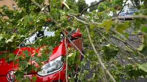 Nach dem Sturm ist vor dem Sturm