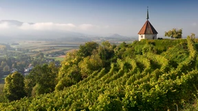 Wovon ich rede, wenn ich vom Glauben rede