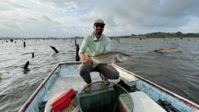 Immer mehr Meeresfische dringen in den Panamakanal