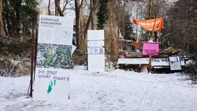 Darmstadt treibt Rodung am Osthang voran