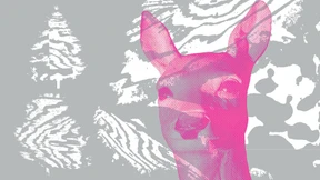 Ein Bambi steckt in jedem von uns