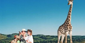 Von Kokosnüssen und anderen Urlaubsplagen