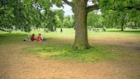 Propalästinensische Aktivisten planen „Antikoloniale Tage“ in Frankfurt