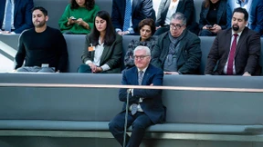 Die Brandstifter im Bundestag